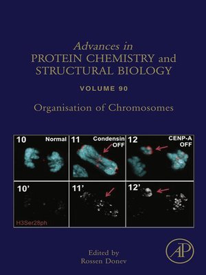 cover image of Organisation of Chromosomes